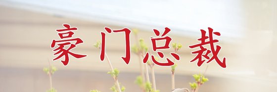 豪門總裁&十二本不錯的經典作品